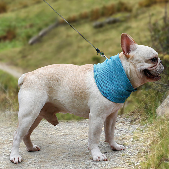 Bandana Dog Scarf 