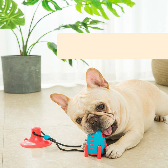 Rocket Dog Biting Toys| Bite-resistant Pet Toys