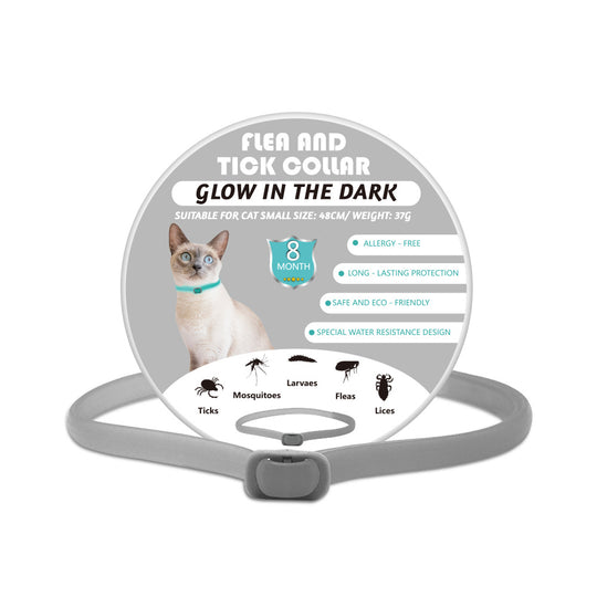 Glow-in-the-dark Pet Collar