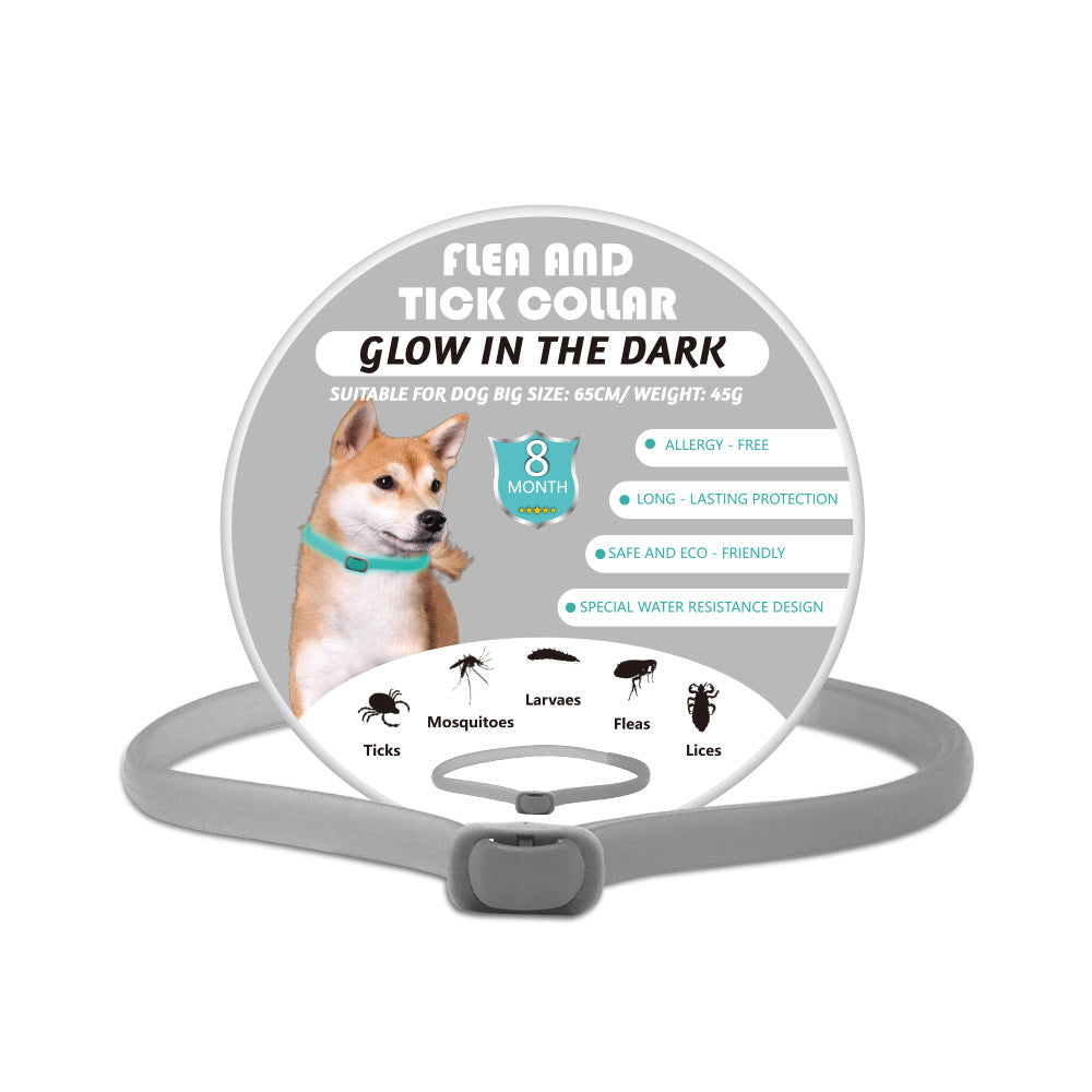 Glow-in-the-dark Pet Collar