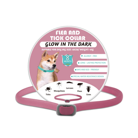 Glow-in-the-dark Pet Collar