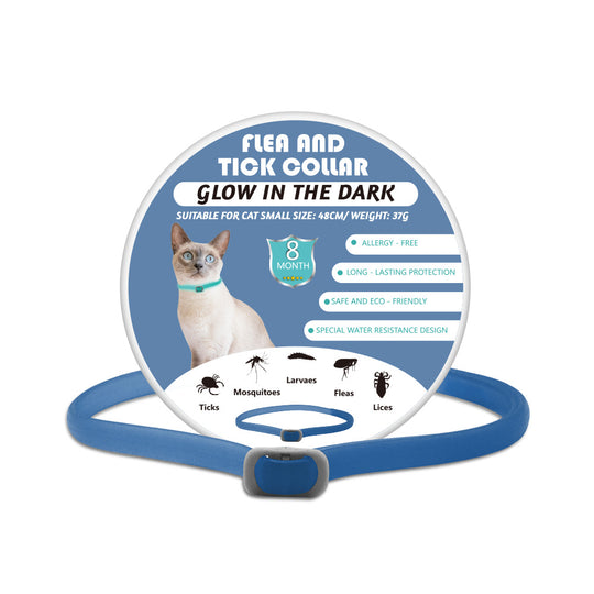 Glow-in-the-dark Pet Collar