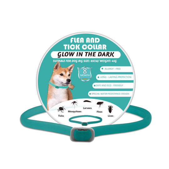 Glow-in-the-dark Pet Collar