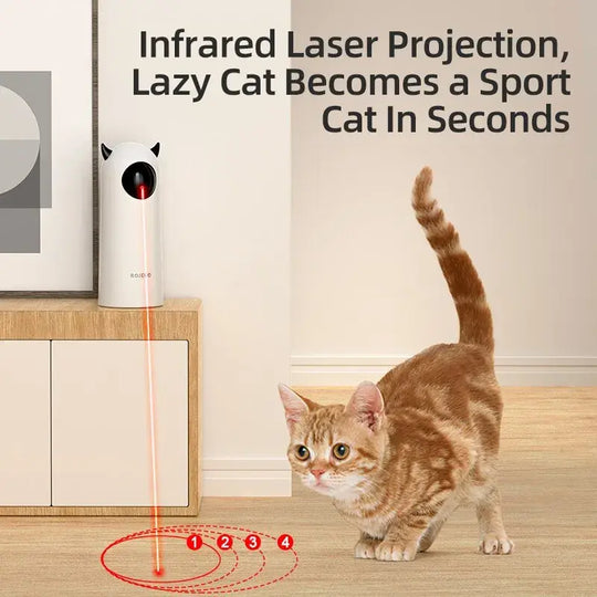 Smart Laser Play for cats